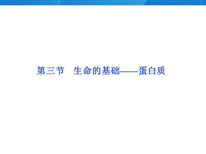 生命的基础——蛋白质.ppt