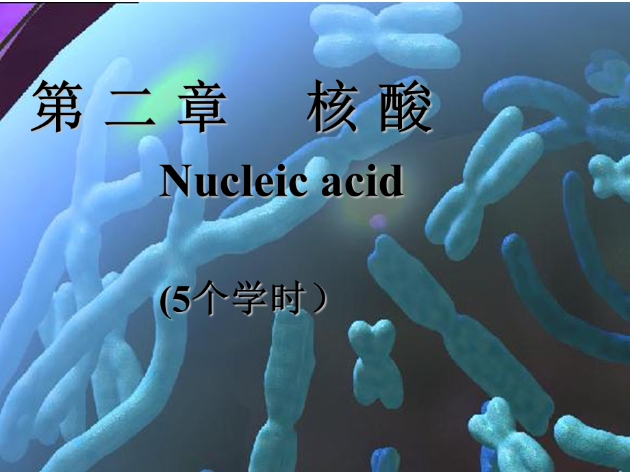 生物化学-第二章核酸.ppt_第1页