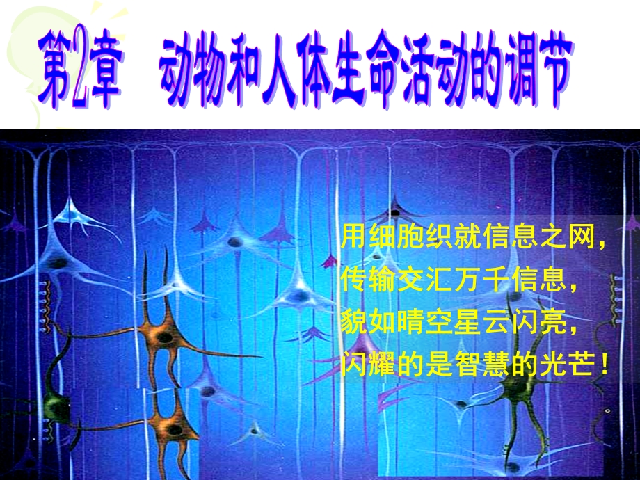 神经调节课件讲课.ppt_第1页