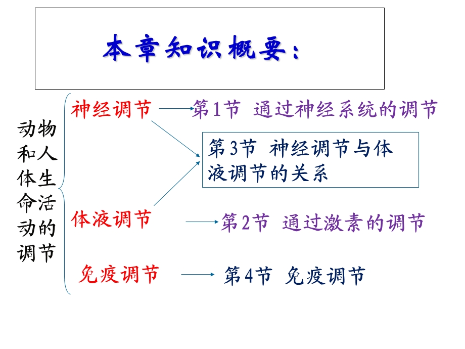 神经调节课件讲课.ppt_第2页