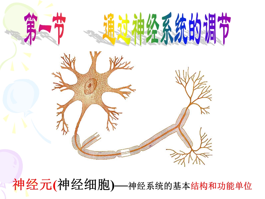 神经调节课件讲课.ppt_第3页