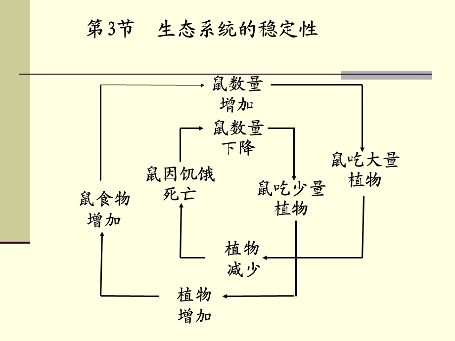 生态系统的稳定性2浙教版.ppt_第2页