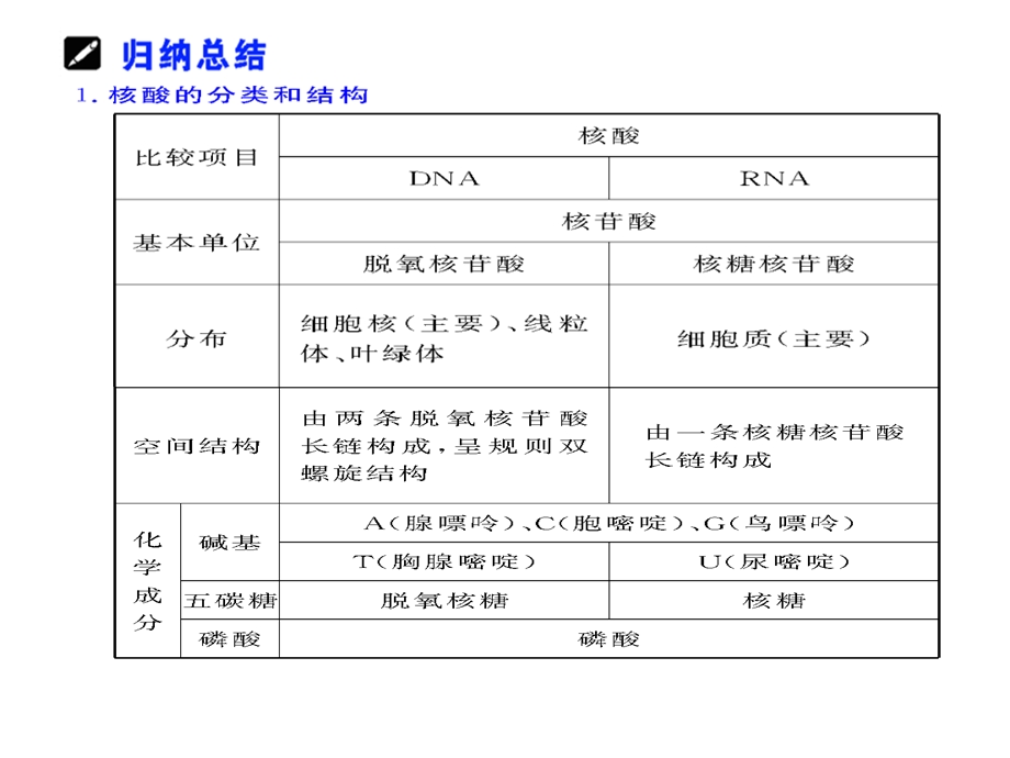 高三生物核酸、糖类和脂质.ppt_第2页