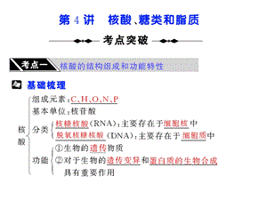 高三生物核酸、糖类和脂质.ppt