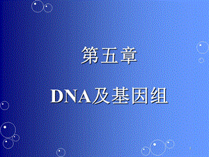 医学分子生物学dna.ppt