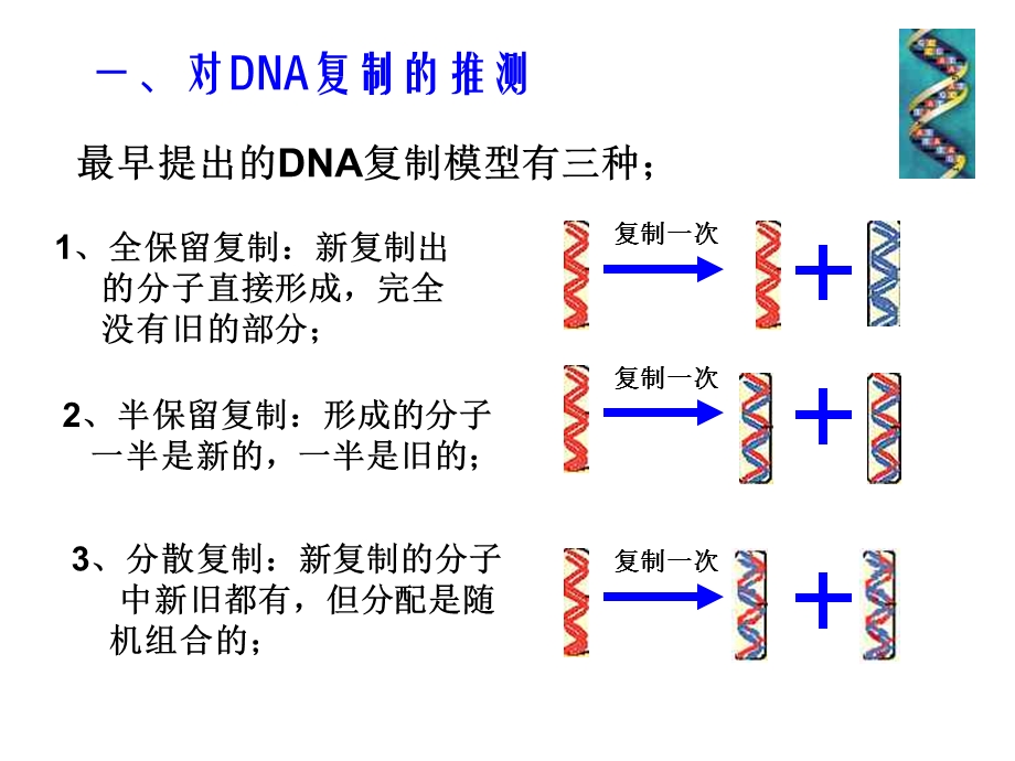 高二生物《DNA的复制》.ppt_第2页