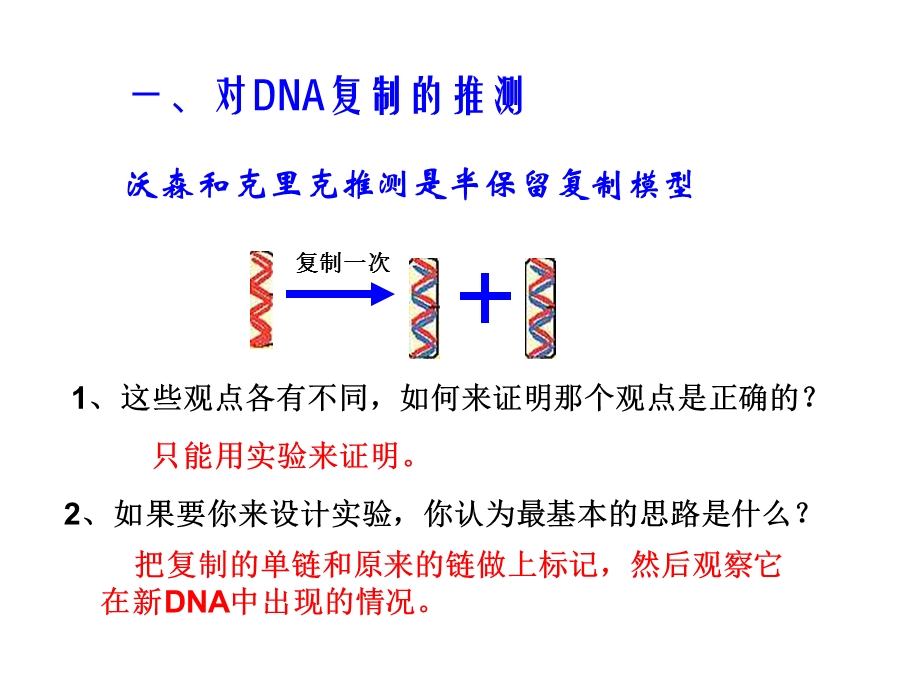 高二生物《DNA的复制》.ppt_第3页