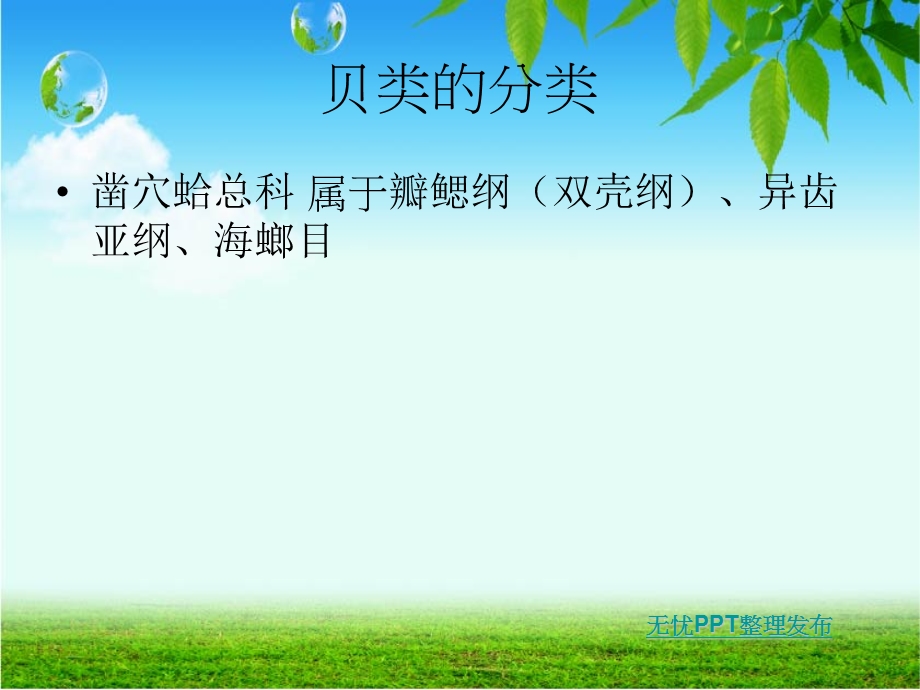 贝类学之象拔蚌.ppt_第2页