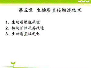 生物质直接燃烧技术.ppt