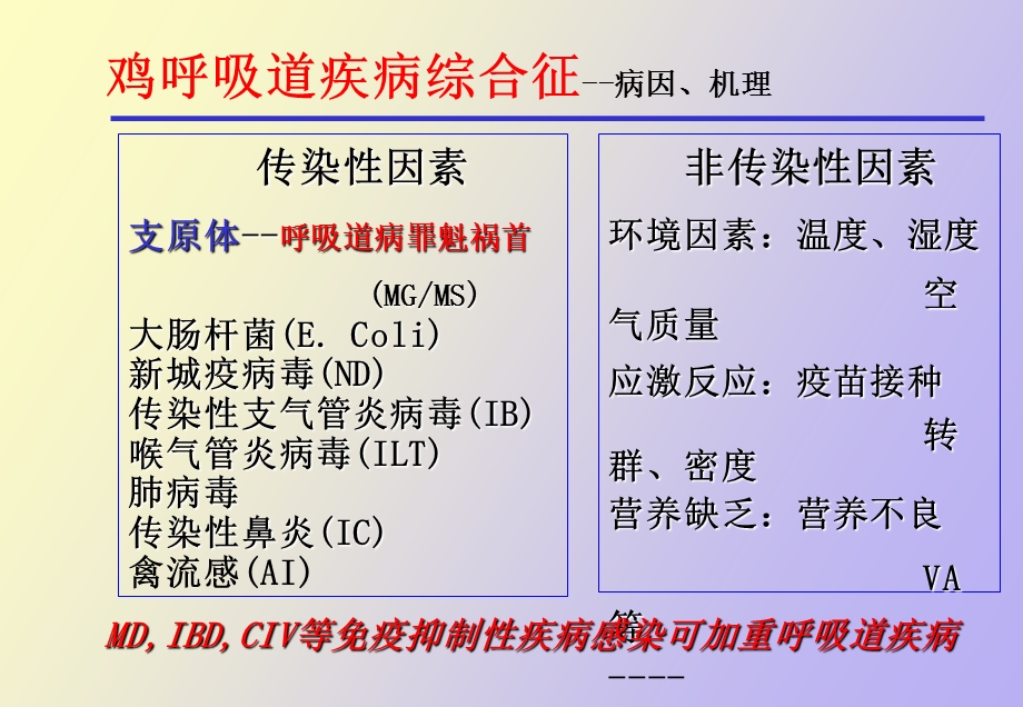 鸡的呼吸道疾病.ppt_第3页