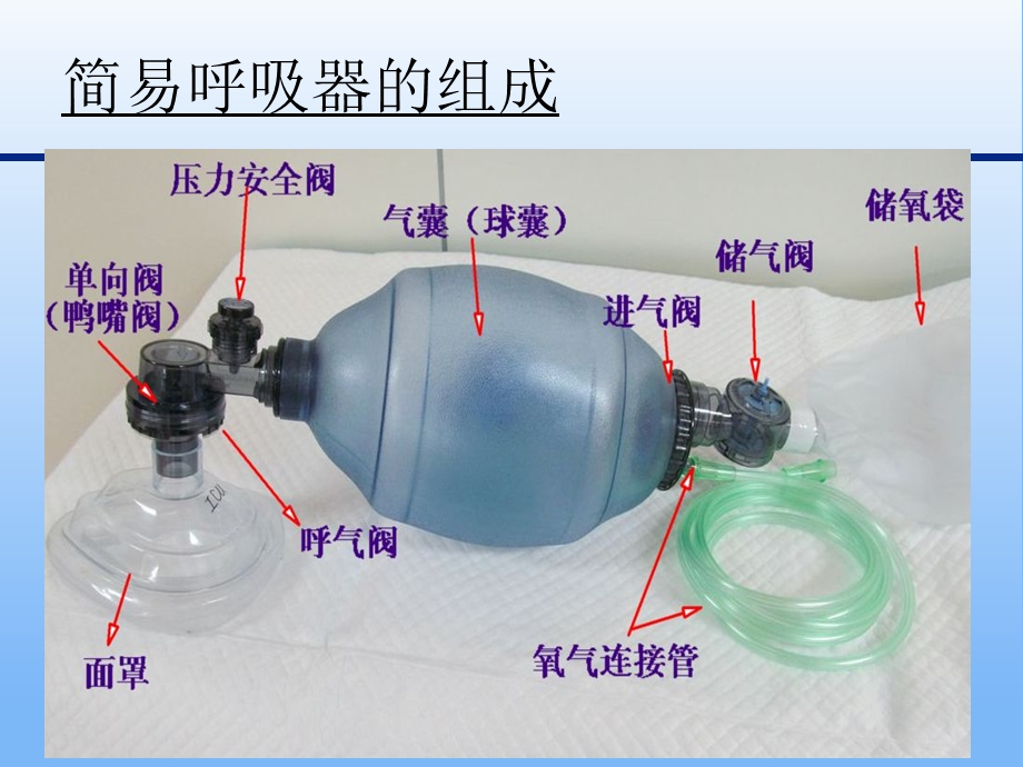 简易呼吸器使用 简单版.ppt_第3页