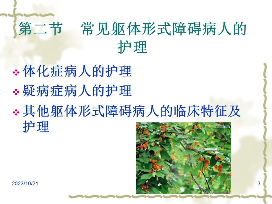 精神科护理学承德第八章躯体形式障碍.ppt_第3页