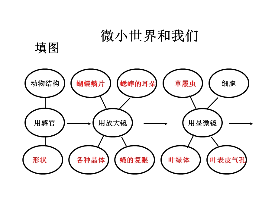 《第8课微小世界和我们PPT课件》.ppt_第3页