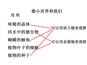 《第8课微小世界和我们PPT课件》.ppt