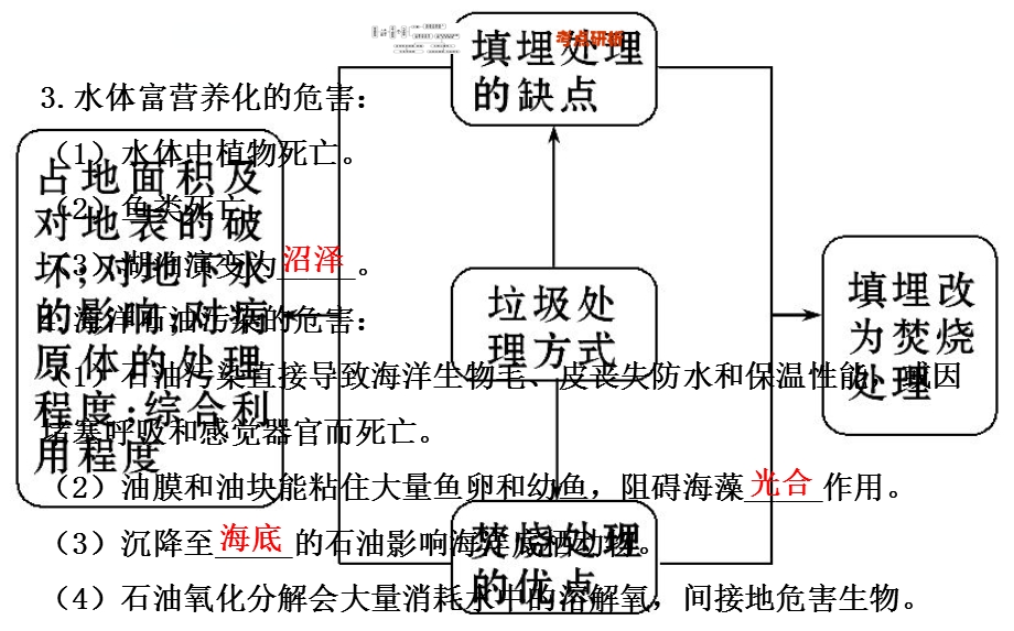 高三地理一轮复习选修6.2.ppt_第3页