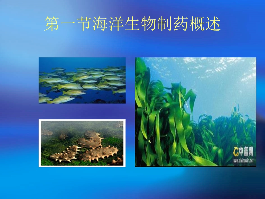 石伟松海洋生物制药.ppt_第2页