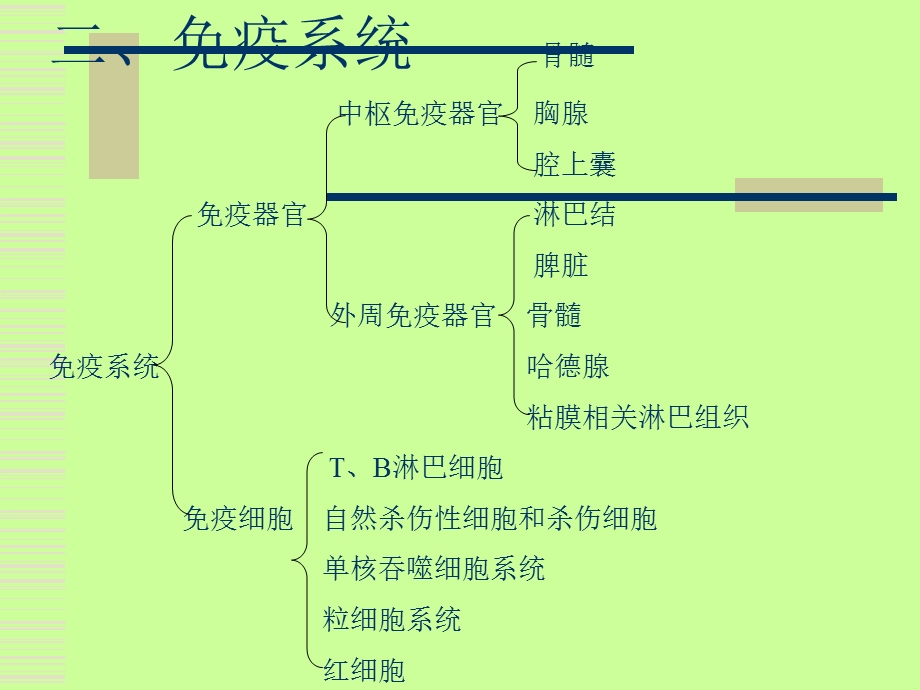 现代免疫学第五章.ppt_第2页