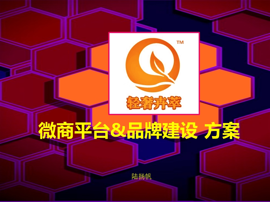 微商平台及品牌建设方案.ppt_第1页