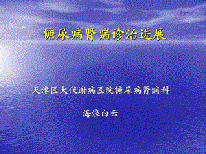 糖尿病肾病诊治进展摘要-海浪白云.ppt