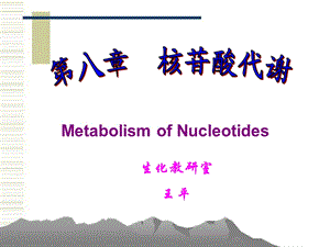 生物化学-第08章-核苷酸代谢.ppt