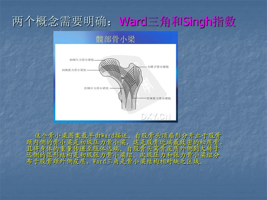 股骨转子间骨折的分型与治疗.ppt_第3页