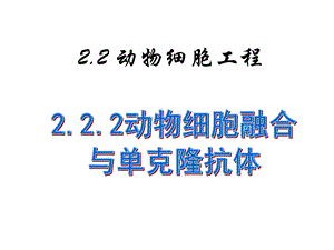 我的动物细胞融合与单抗.ppt