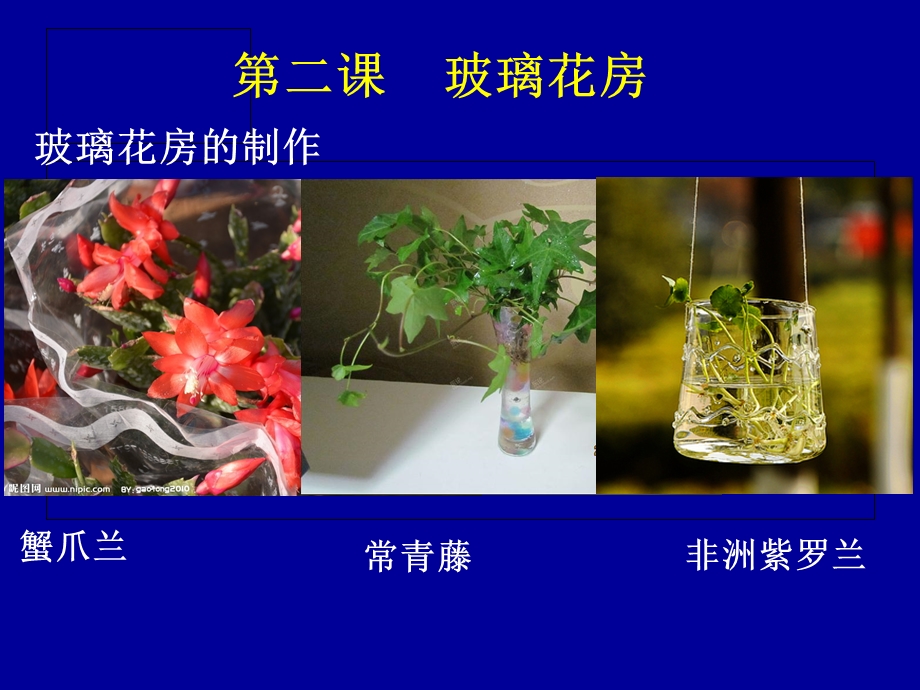 玻璃花房8年级劳动与技术.ppt_第2页