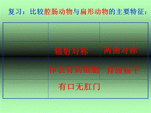 教学课件第二节线形动物和环节动物.ppt