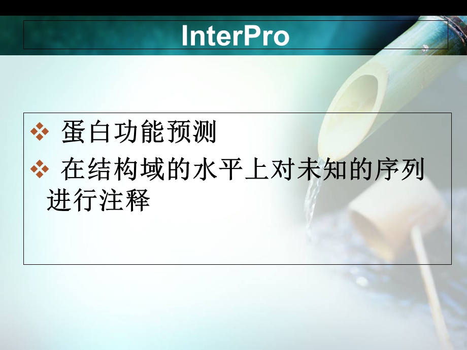 生物信息学网站InterPro.ppt_第2页