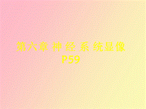 神经系统显像.ppt