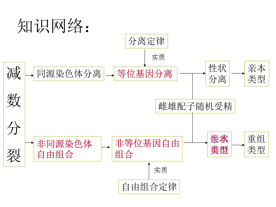 高二生物遗传二大基本规律.ppt_第3页