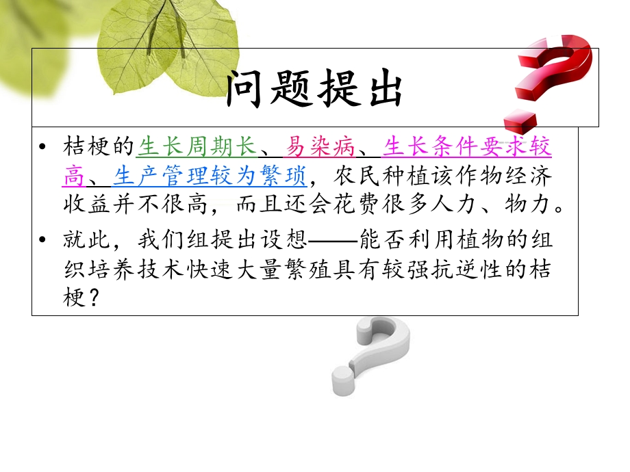 利用组织培养技术快速提高桔梗产量.ppt_第2页