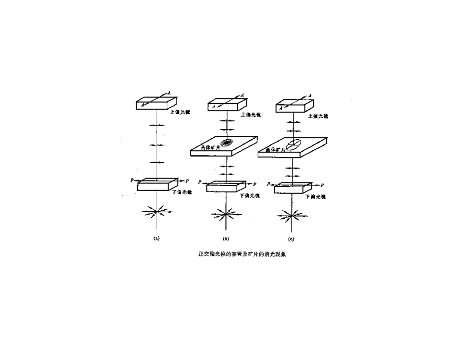 矿物岩石学04第2章晶体光学基础第4节正交光.ppt_第3页