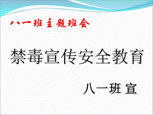 禁毒教育主题班会《禁毒宣传》ppt课件03.ppt