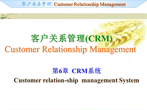 商贸CRM06CRM系统.ppt