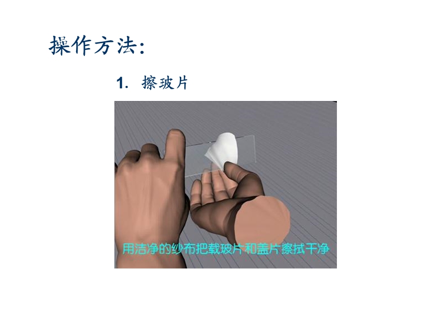 利用显微镜观察植物细胞的临时装.ppt_第2页