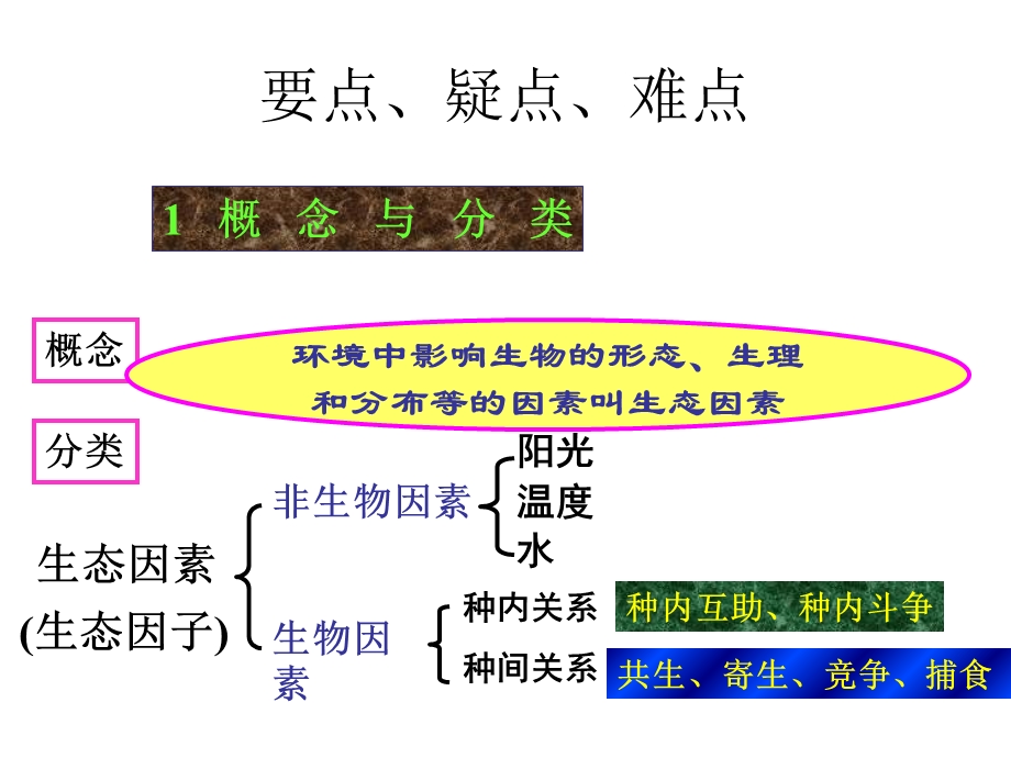 高生物生态因素.ppt_第2页