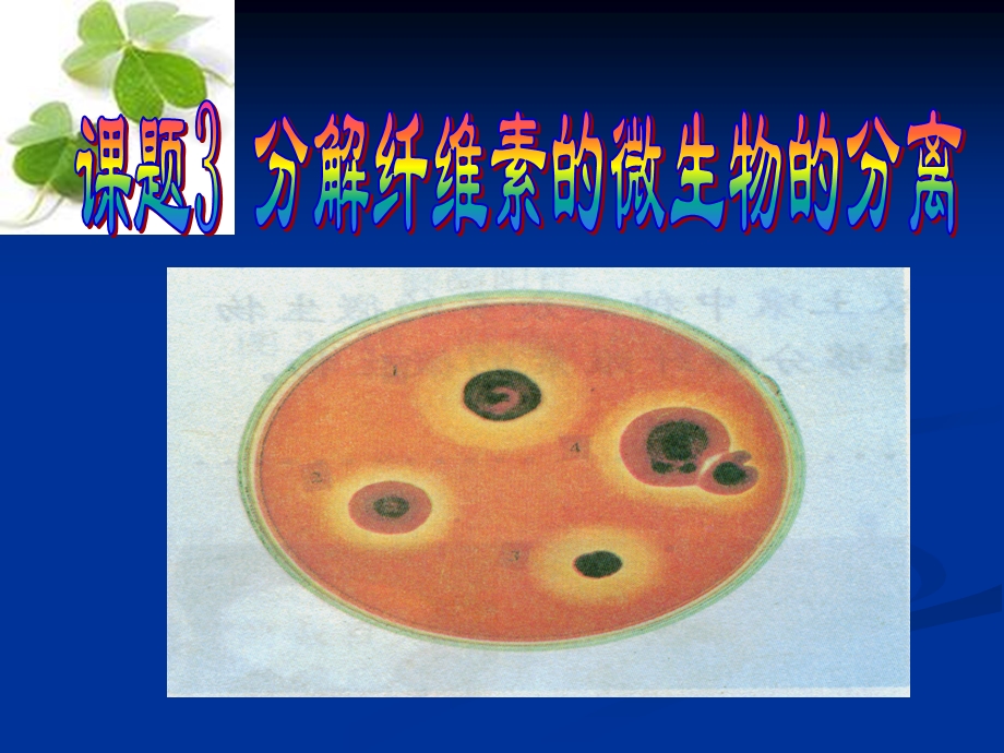 高二生物选修1课题3分解纤维素的微生物的分离.ppt_第1页