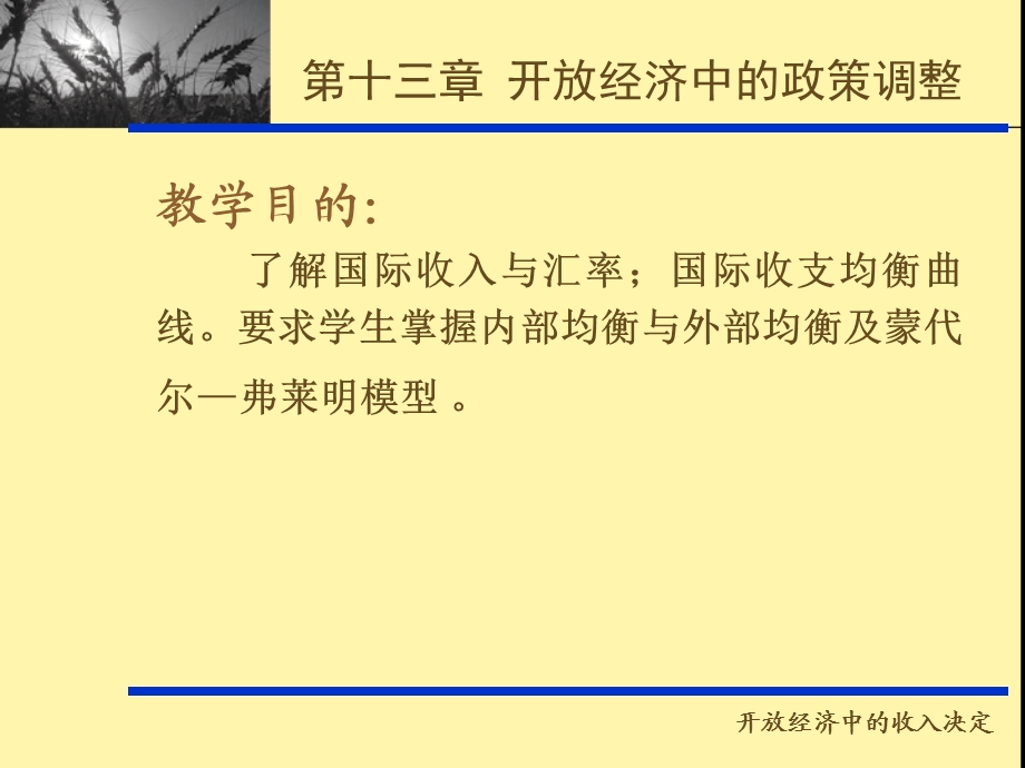 开放经济中的政策调整西经.ppt_第1页