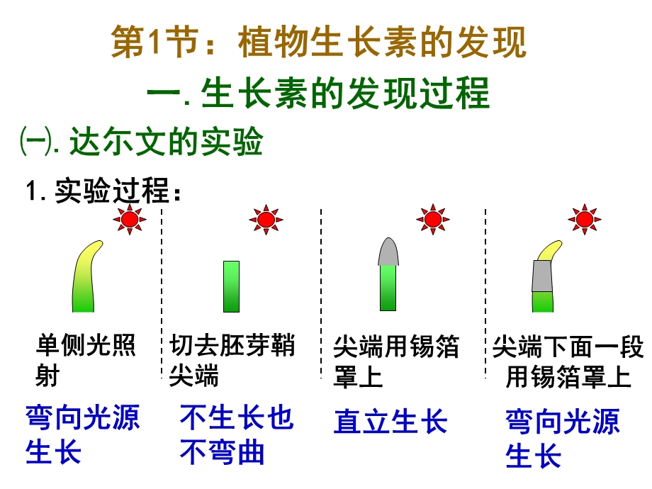 生物必修三第3章复习.ppt_第2页