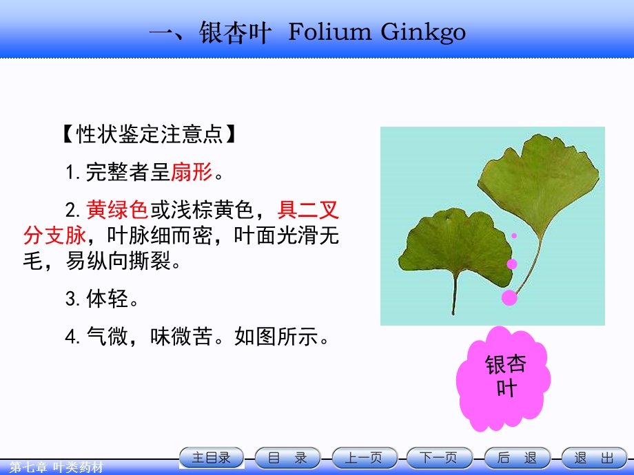 教案下篇5_叶类药材.ppt_第3页