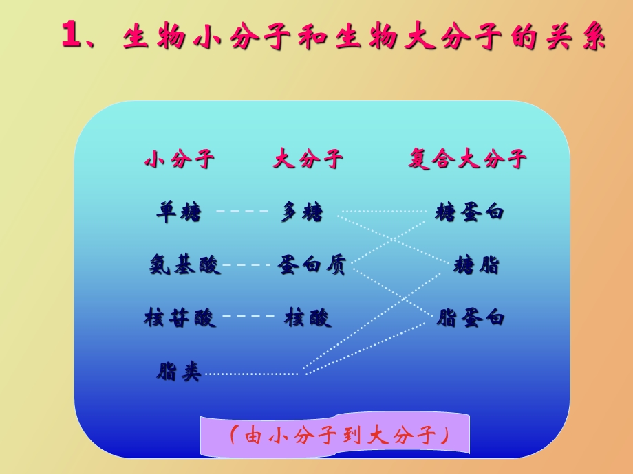 生命物质基础.ppt_第2页