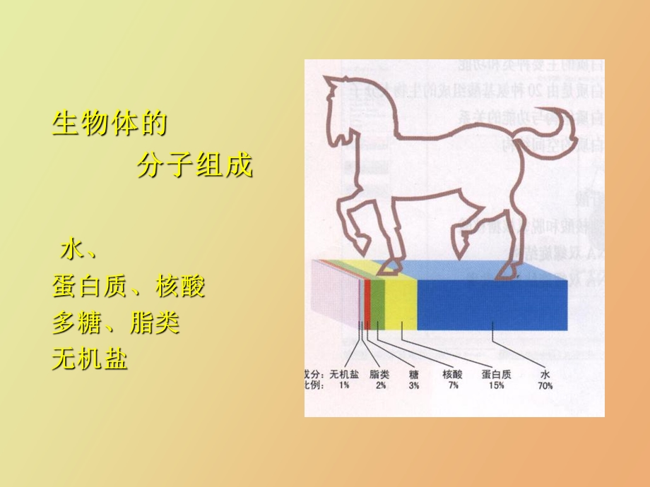 生命物质基础.ppt_第3页