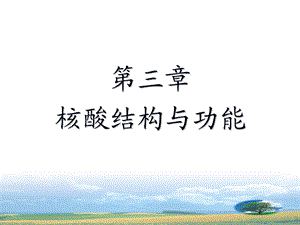 教学课件：第三章-核酸结构的功能.ppt