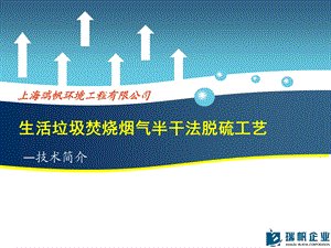 生活垃圾焚烧烟气半干法脱酸技术-瑞帆.ppt