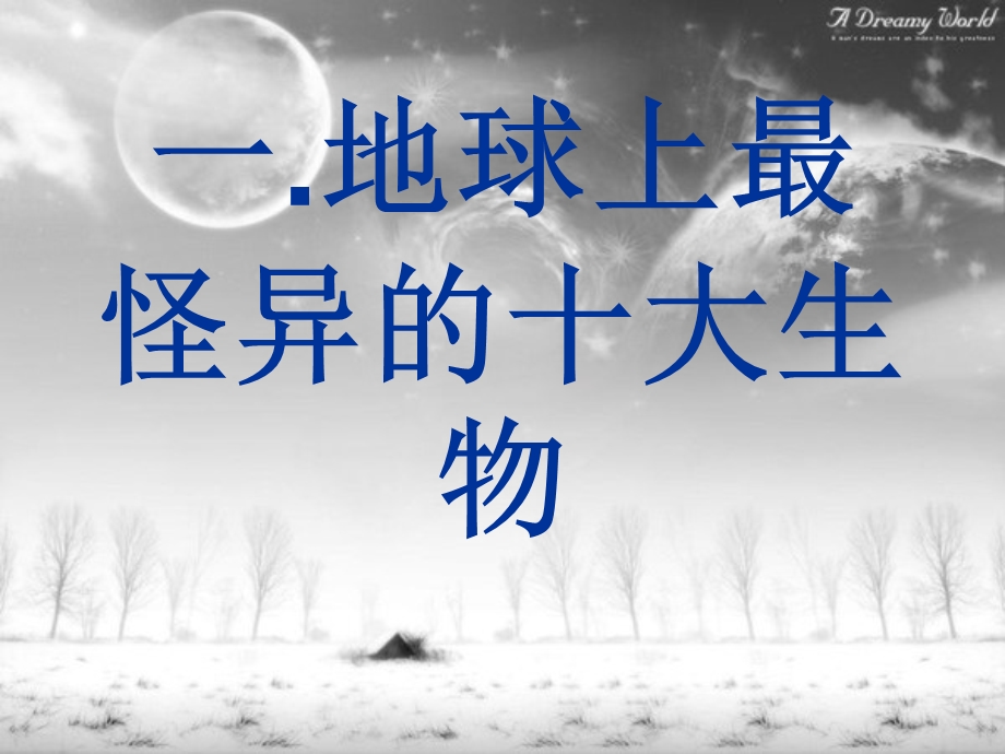 生物奥秘之怪异的生物.ppt_第2页