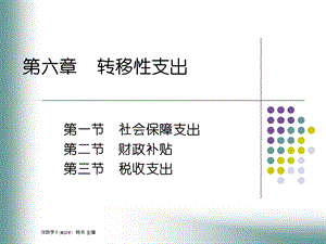 社会保障支出第二节财政补贴第三节税收支出.ppt