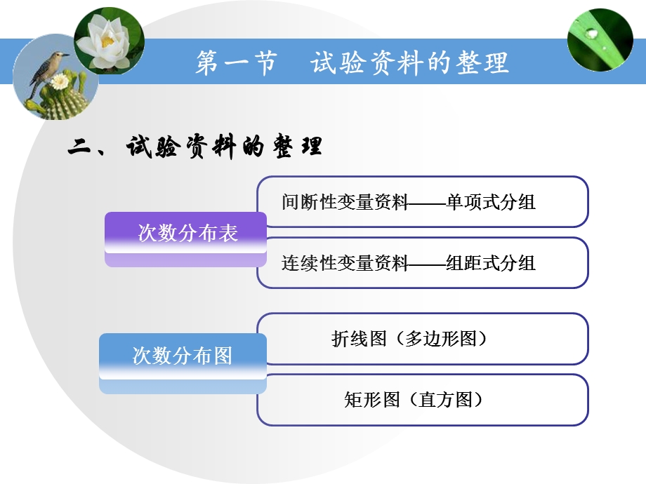 生物统计学02试验资料的整理和特征数的计算.ppt_第3页