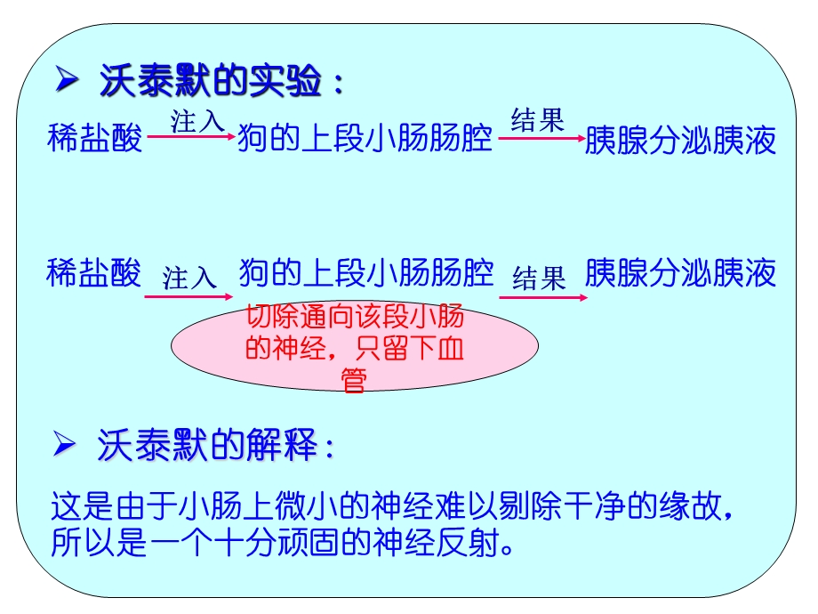 高等动物的内分泌系统与体液调节(第1课时).ppt_第2页