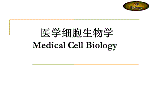 《医学细胞生物学》基因信息的传递与蛋白质合成.ppt